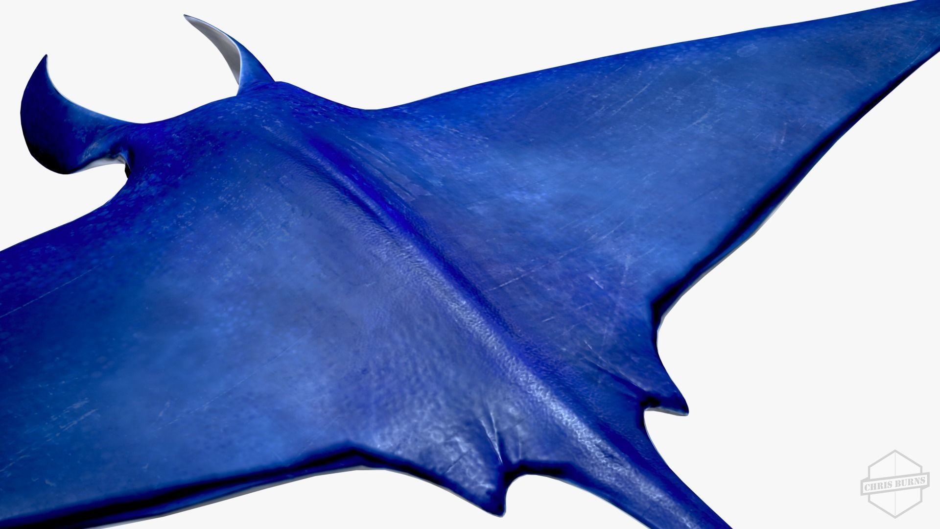 Rigged and Animated Manta ray sea creature Low-poly 3D model_8