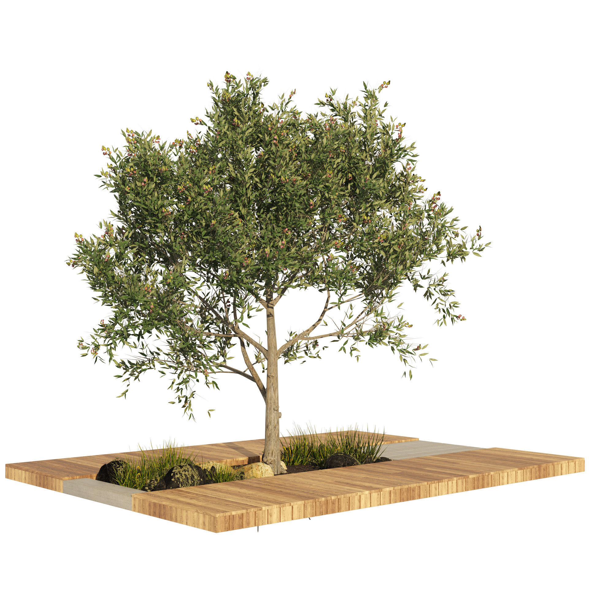 olive tree with wood deck planter Low-poly 3D model_2