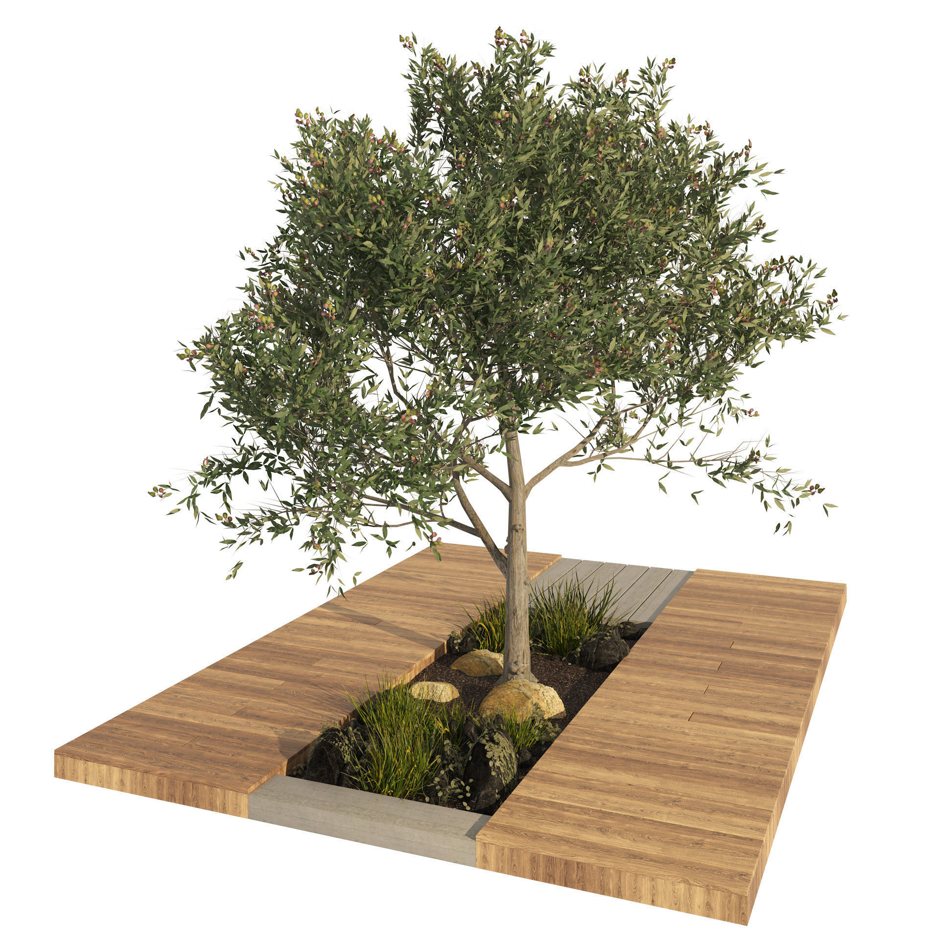 olive tree with wood deck planter Low-poly 3D model_5