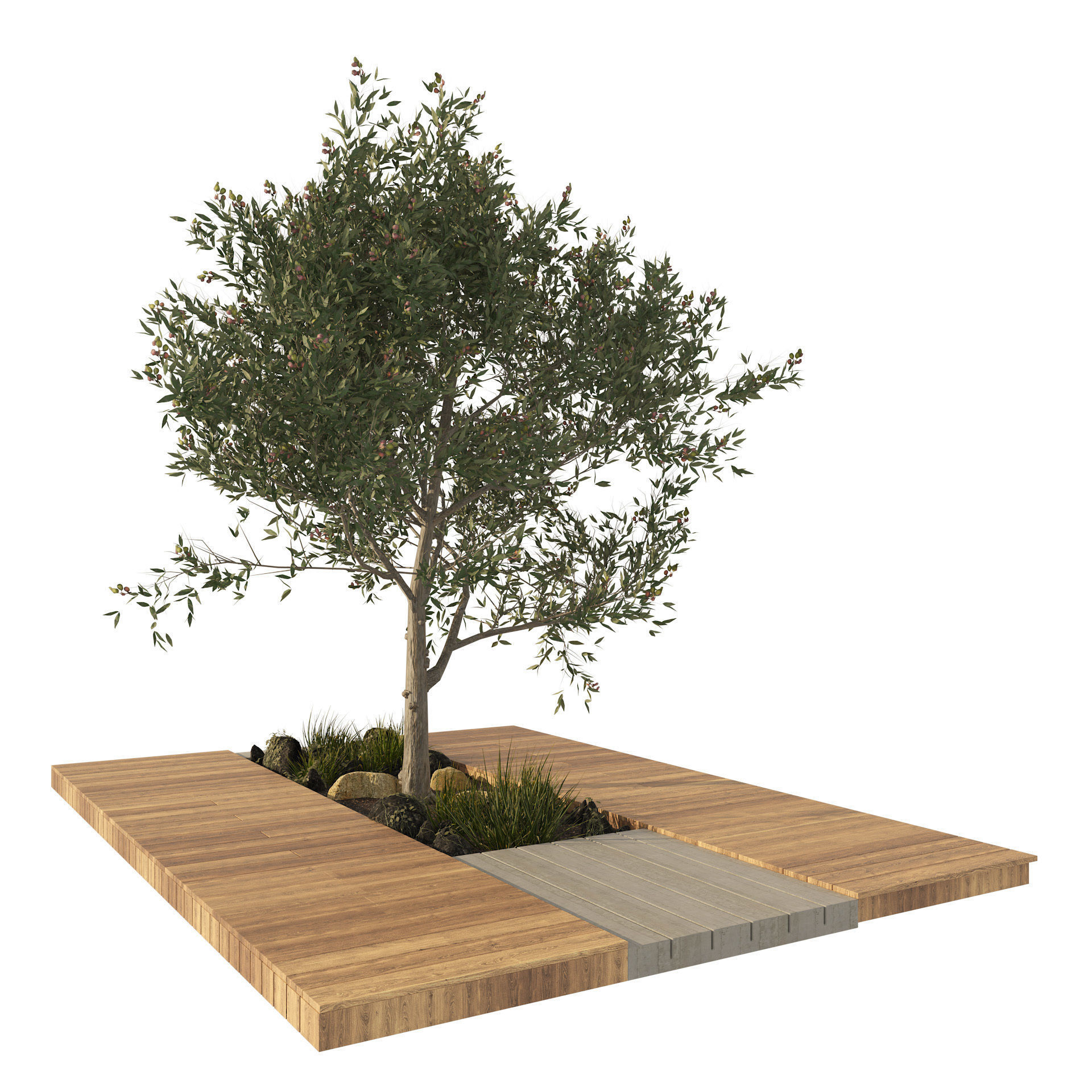 olive tree with wood deck planter Low-poly 3D model_3