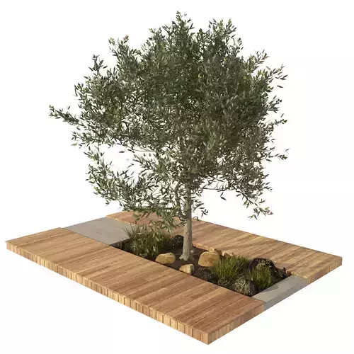 olive tree with wood deck planter Low-poly 3D model