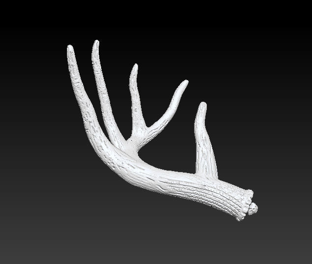 Antler Pendant 3D print model_8