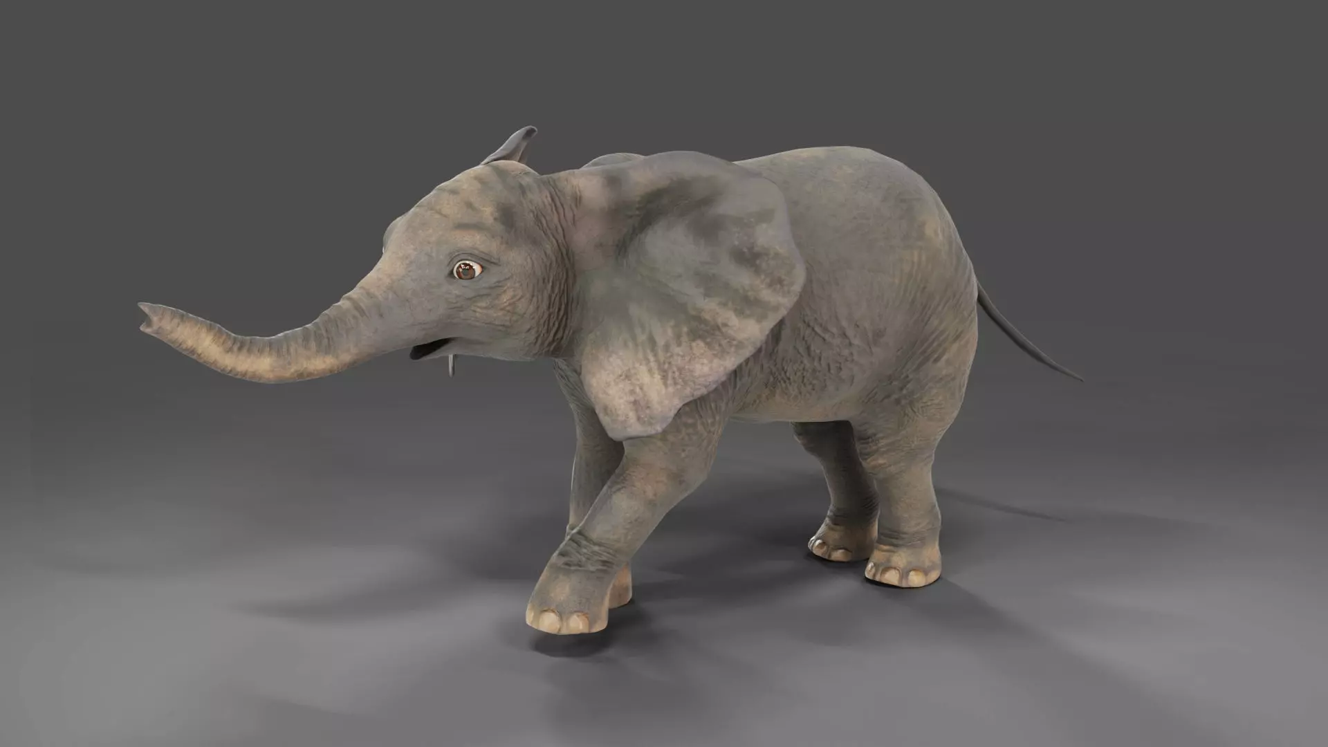 Baby Elephant Rigged and Animation Unity Low-poly 3D model