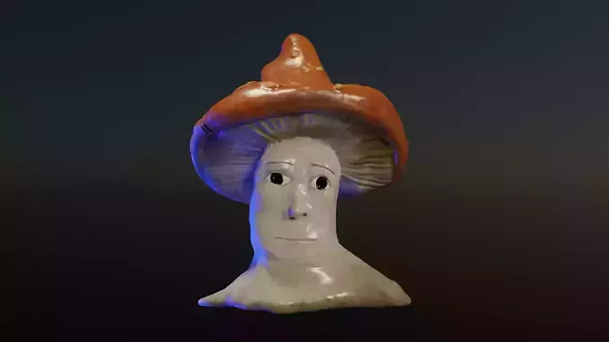 Shroomjak mushroom in hat