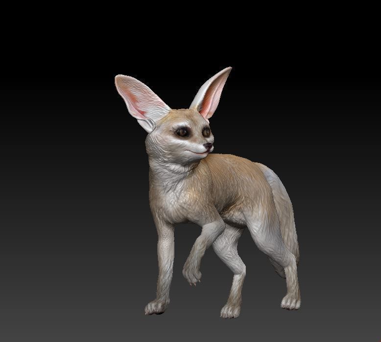 fennec fox 3D print model_8
