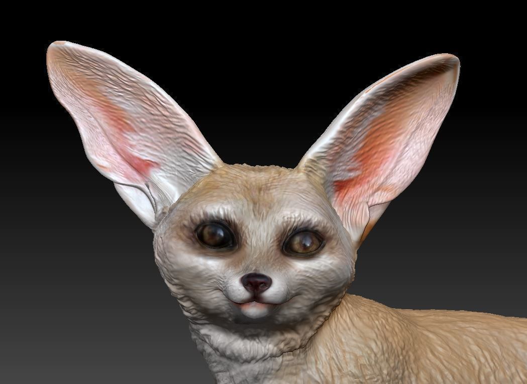 fennec fox 3D print model_1