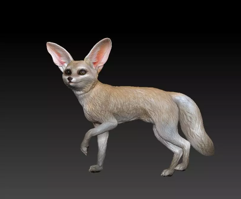fennec fox 3D print model_0