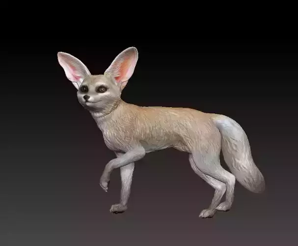 fennec fox 3D print model