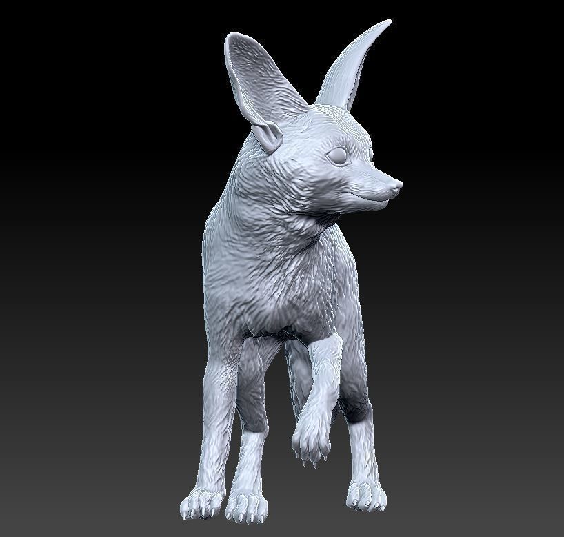 fennec fox 3D print model_4