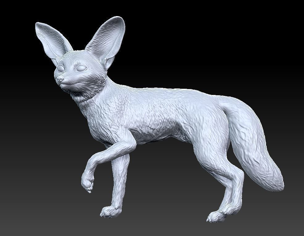 fennec fox 3D print model_6