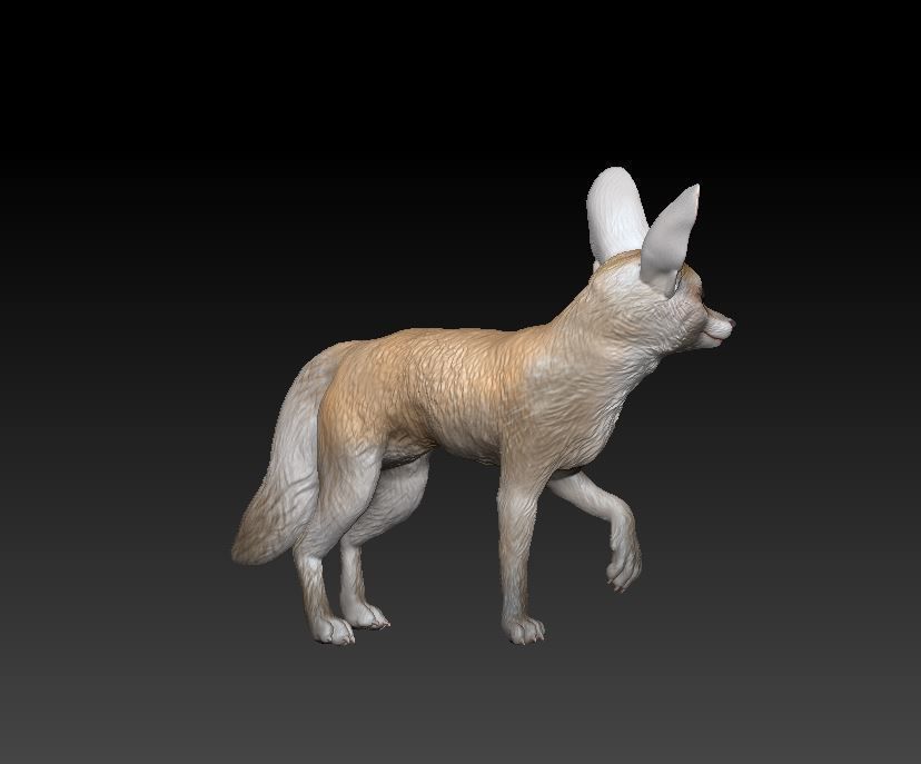 fennec fox 3D print model_3