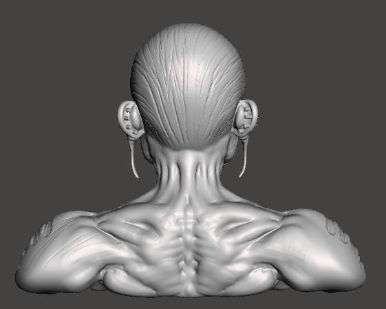 ED BOOK bust 3D print model_2