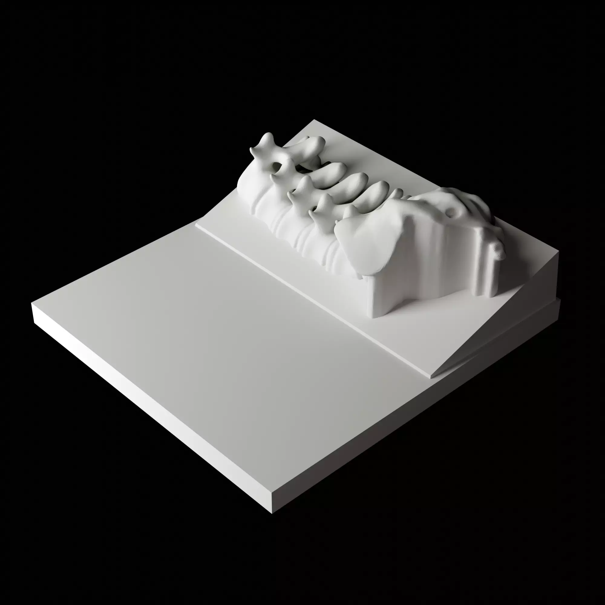 Personalized 3D Printed Anatomical Model Base 3D print model