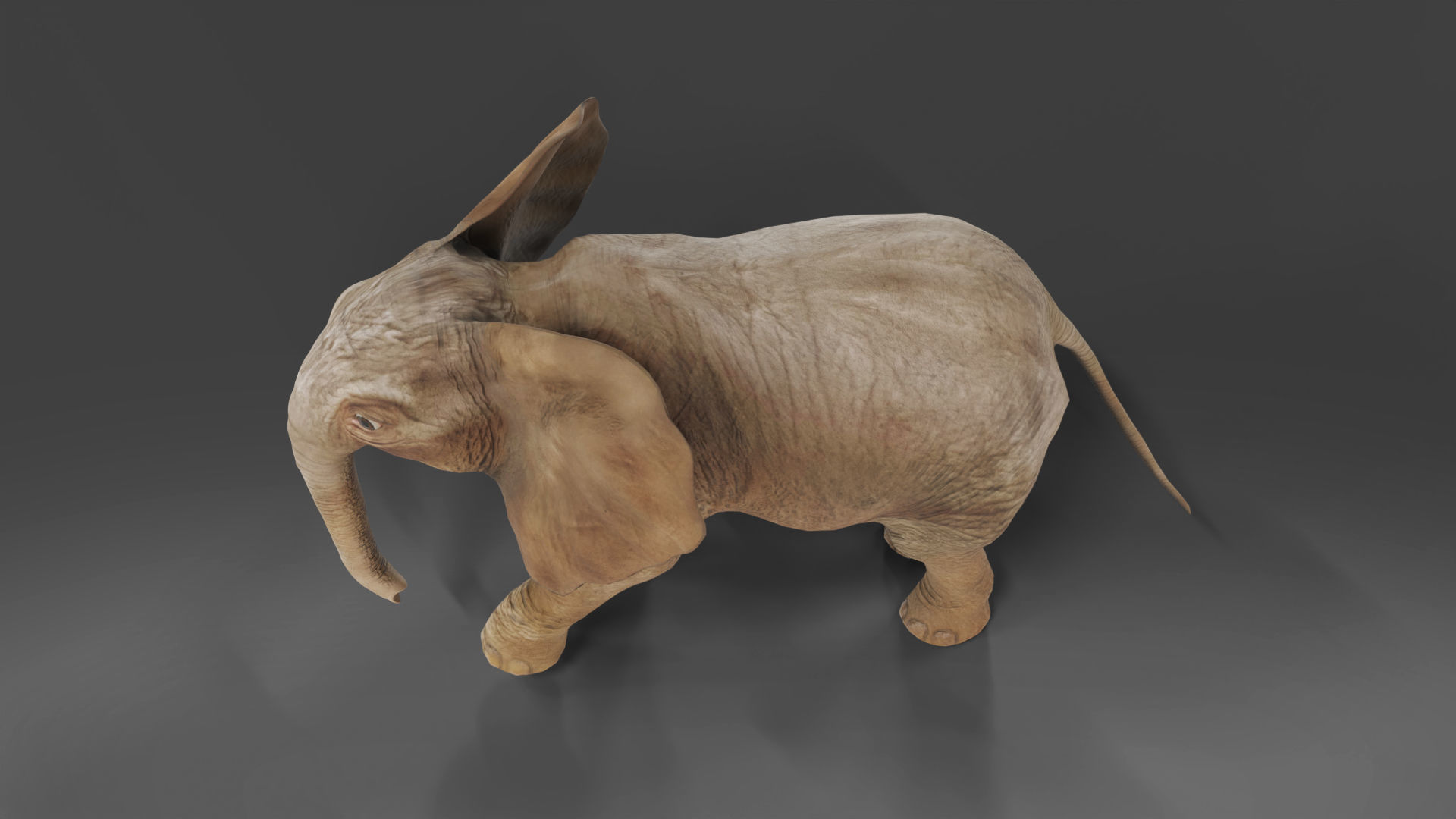 Baby Elephant Rigged and Animation Unity V02 Low-poly 3D model_7