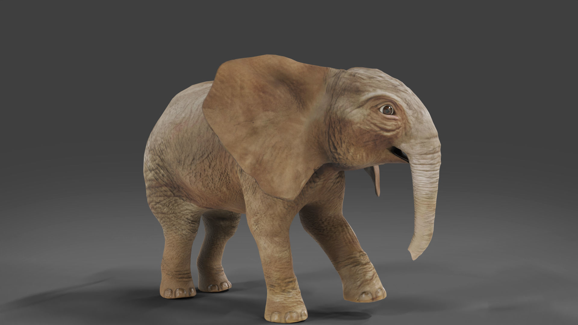 Baby Elephant Rigged and Animation Unity V02 Low-poly 3D model_4