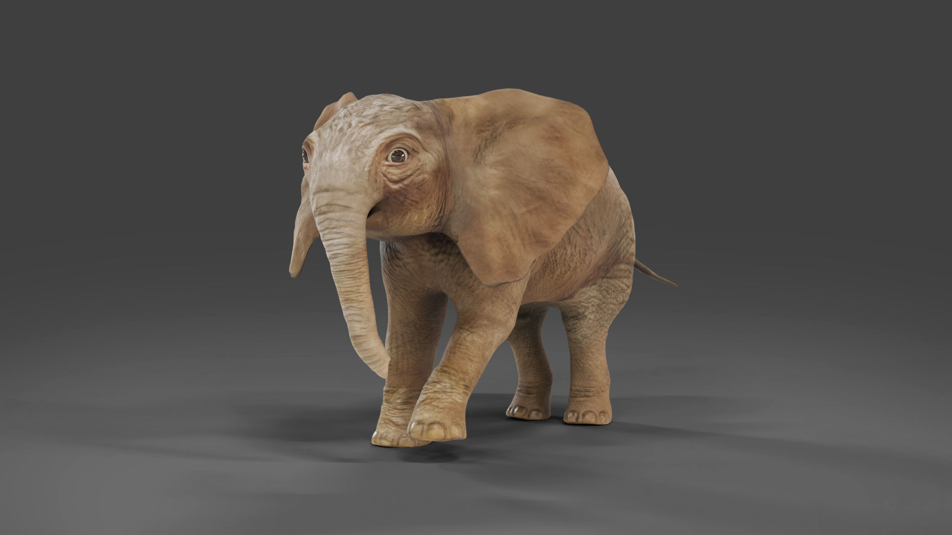 Baby Elephant Rigged and Animation Unity V02 Low-poly 3D model_3