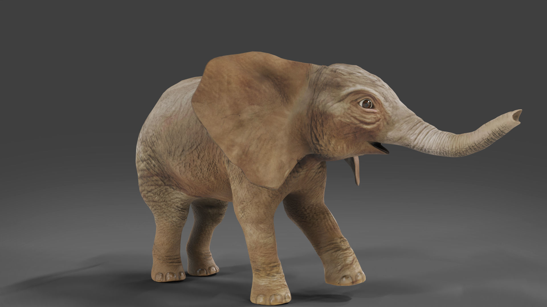 Baby Elephant Rigged and Animation Unity V02 Low-poly 3D model_11
