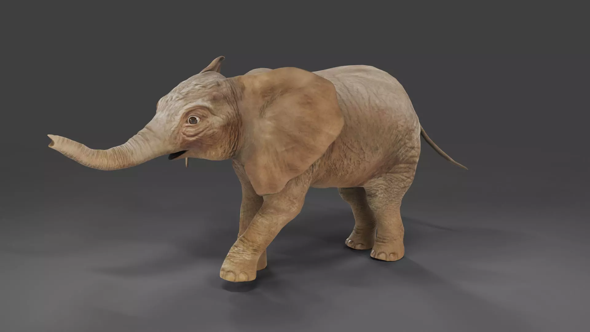 Baby Elephant Rigged and Animation Unity V02 Low-poly 3D model_0