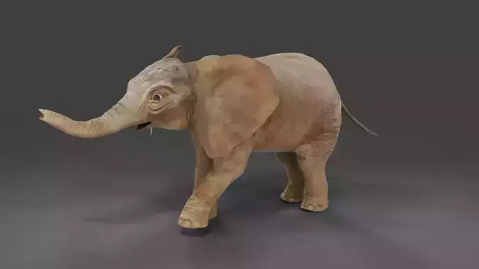 Baby Elephant Rigged and Animation Unity V02 Low-poly 3D model