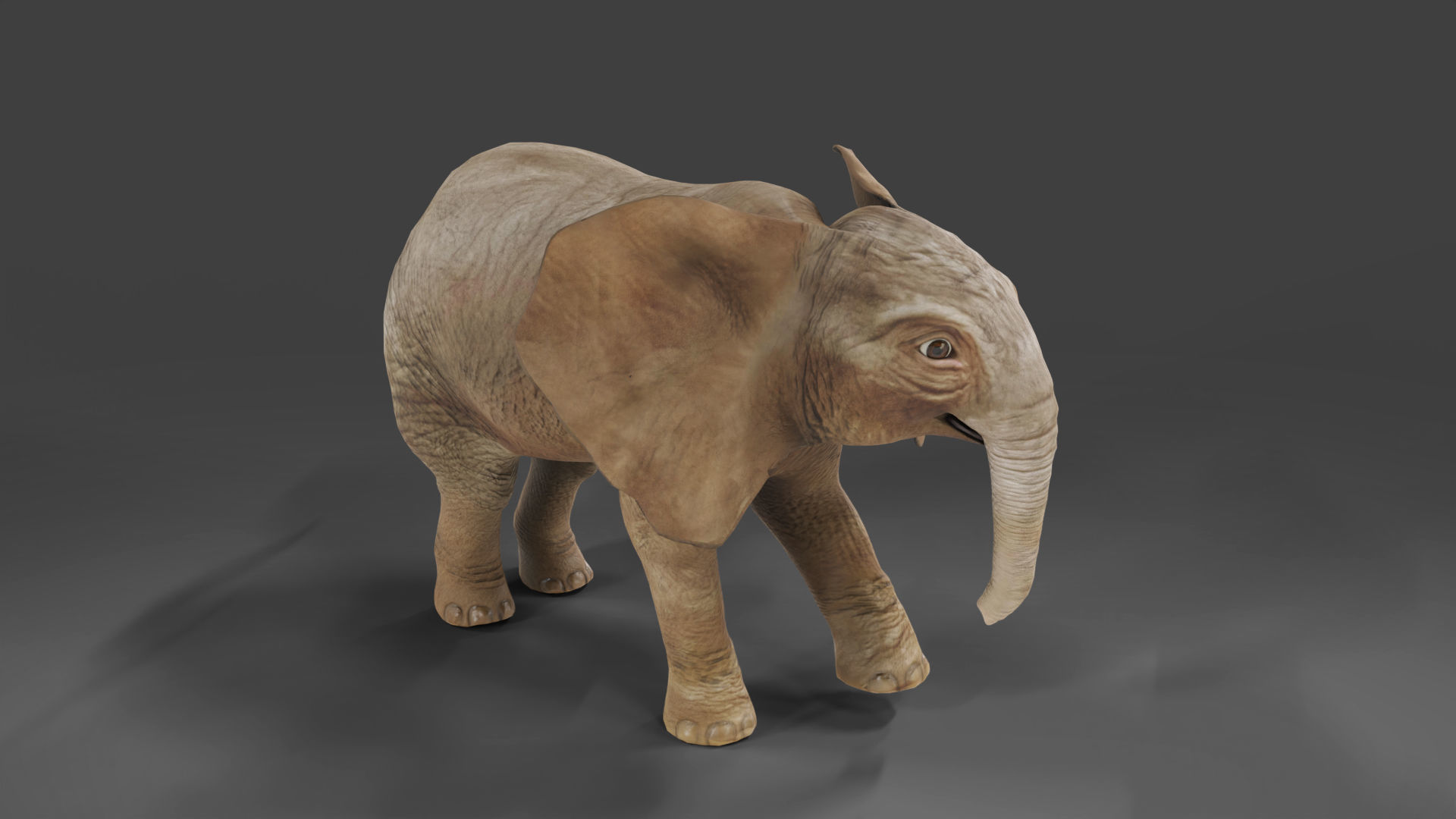 Baby Elephant Rigged and Animation Unity V02 Low-poly 3D model_5