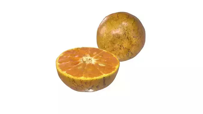 Orange cut half style 1