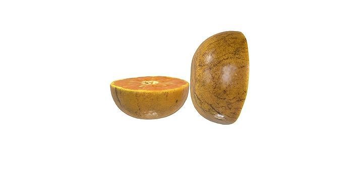 Orange cut half style 1 Low-poly 3D model 6