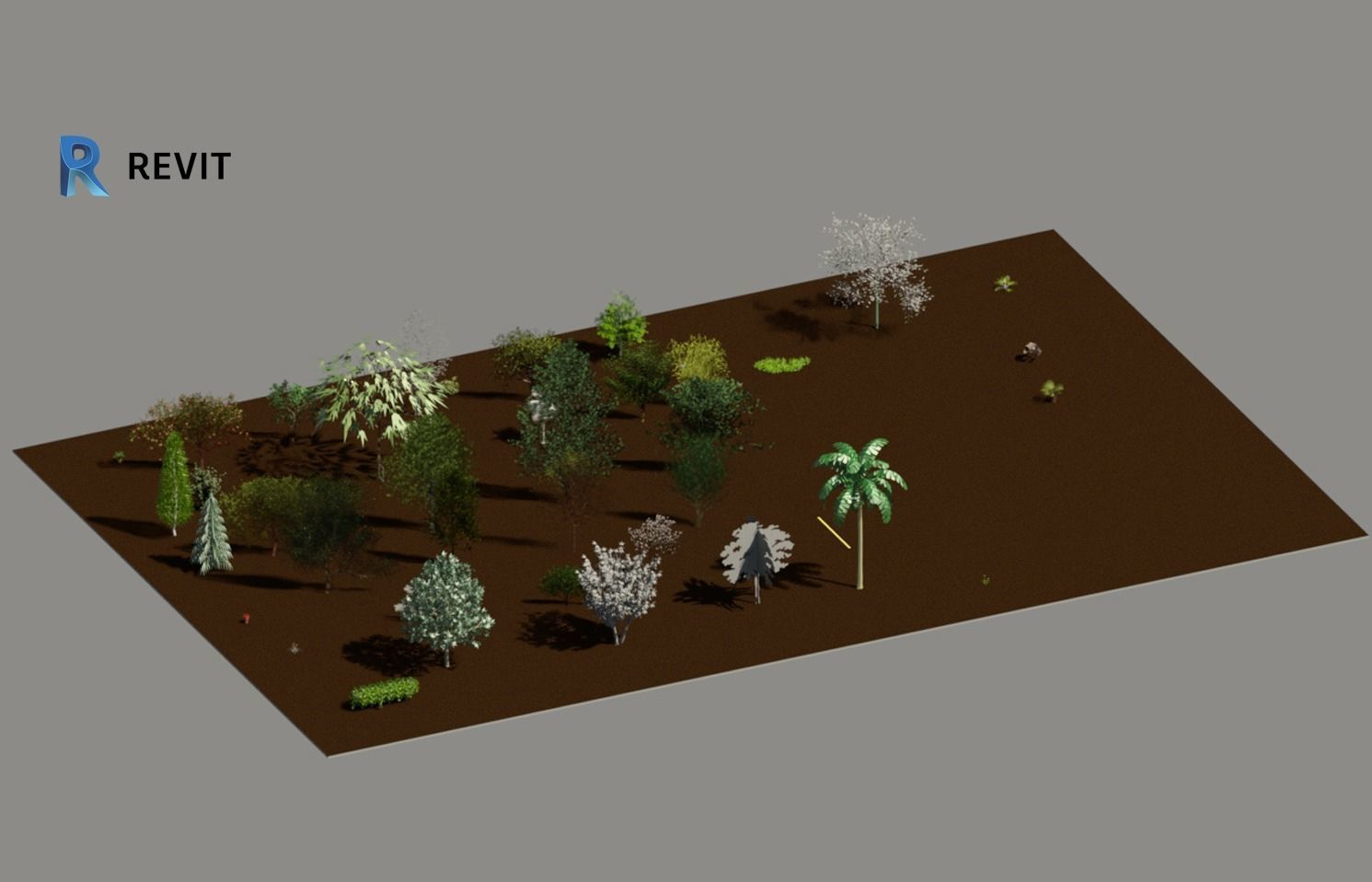 Autodesk Revit Tree Family collection  Free 3D model_1