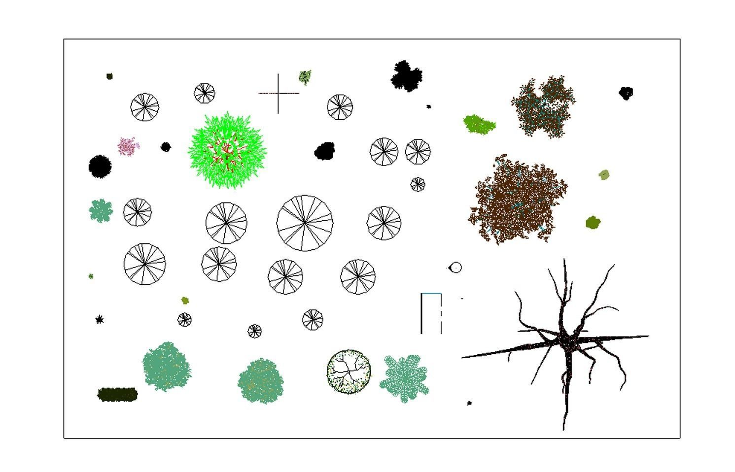Autodesk Revit Tree Family collection  Free 3D model_2
