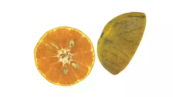 Orange cut half style 2 Low-poly 3D model