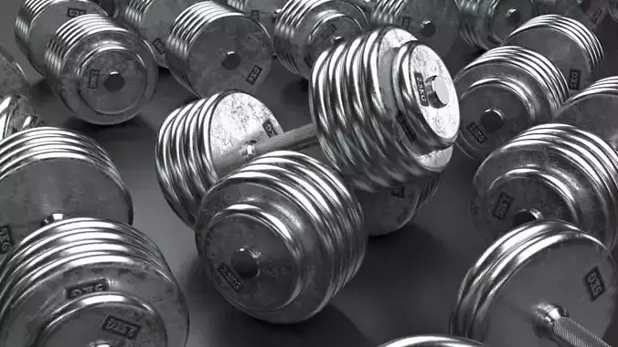 A set of 20 dumbbells from 5 to 100 kg