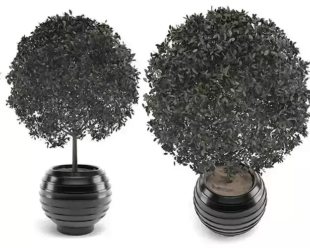 decoration flower-03 3D model