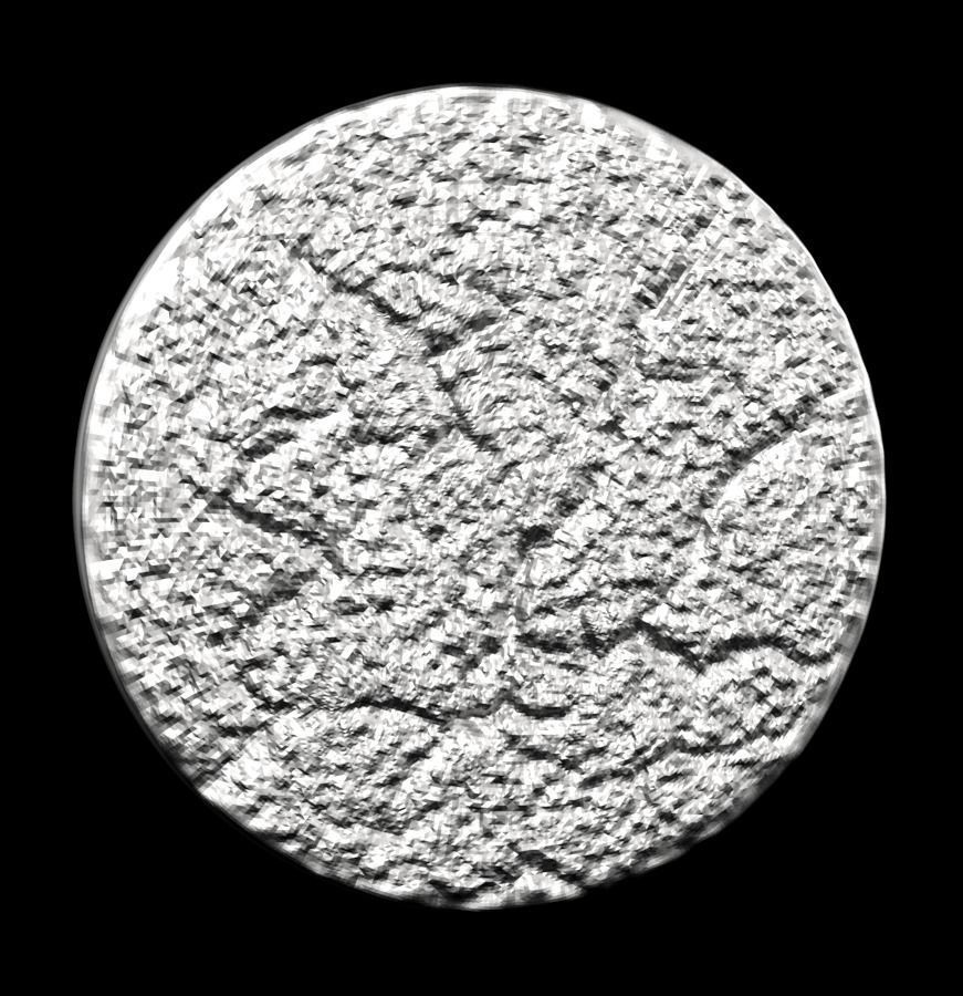 Chinese Zodiac Coins Collection 003 _17