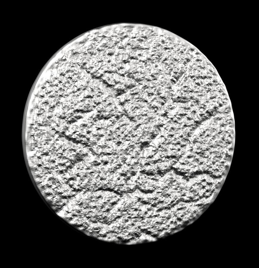 Chinese Zodiac Coins Collection 003 _15