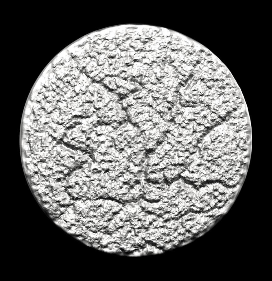 Chinese Zodiac Coins Collection 003 _19