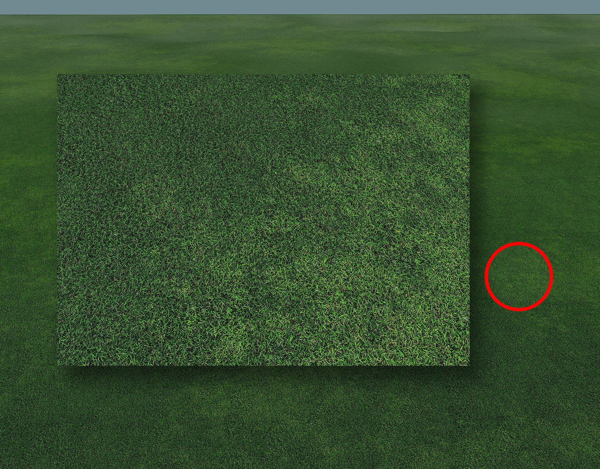 Grass material with seamless high quality maps- CoronaMtl Texture_1