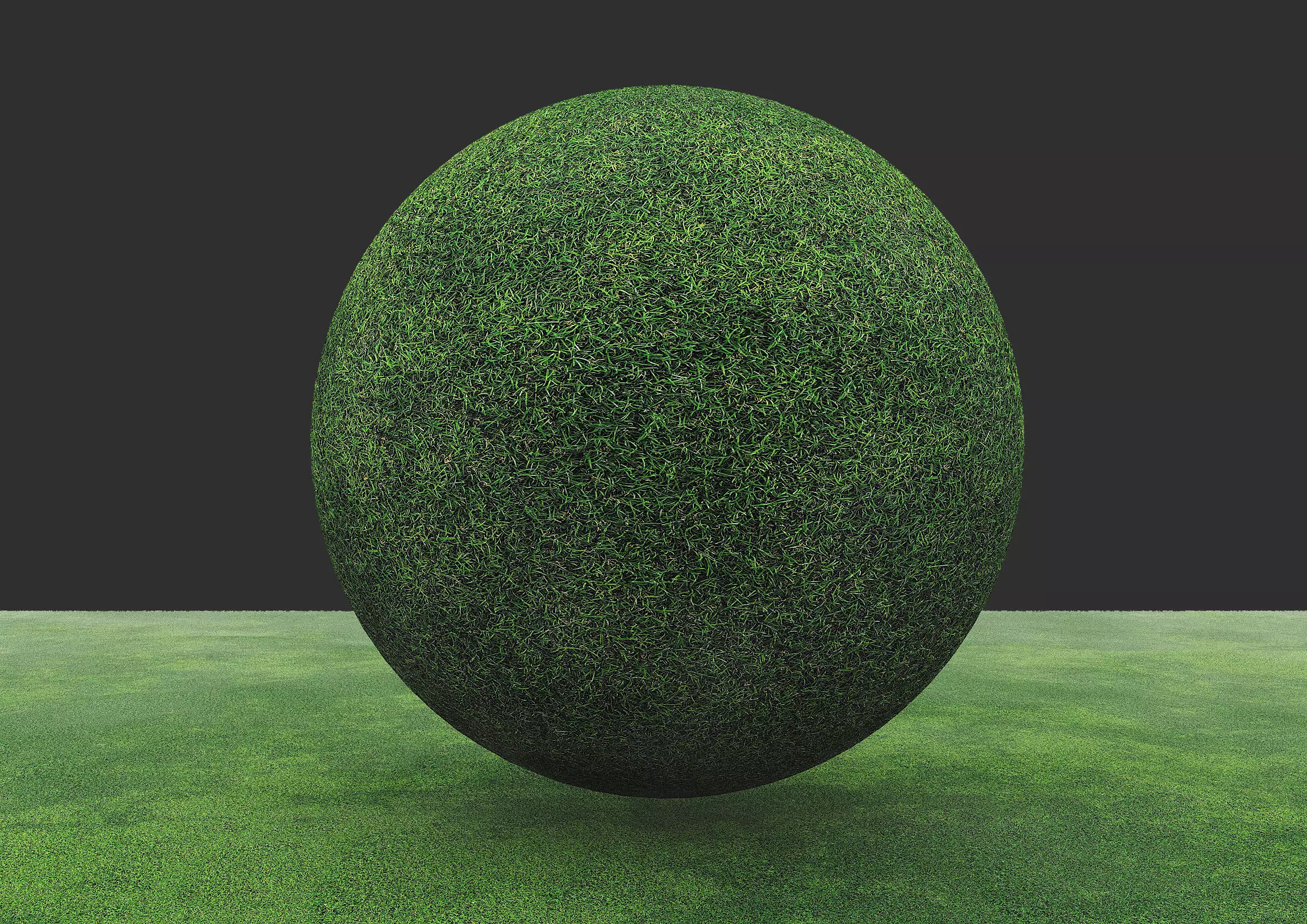 Grass material with seamless high quality maps- CoronaMtl Texture_0