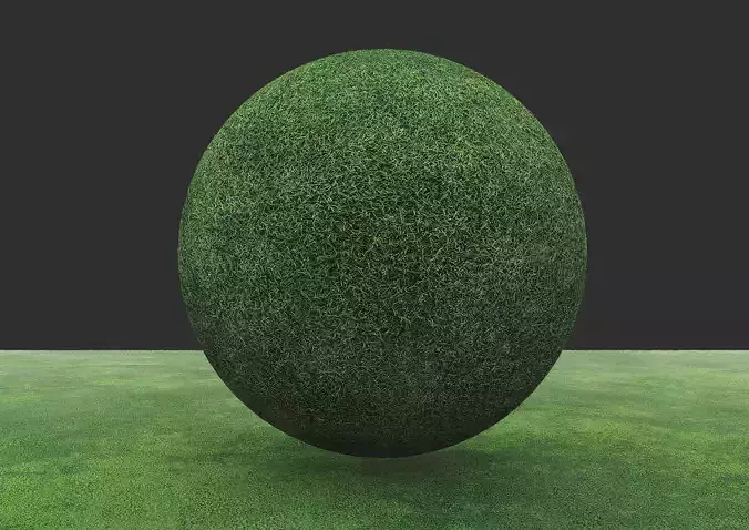 Grass material with seamless high quality maps- CoronaMtl Texture