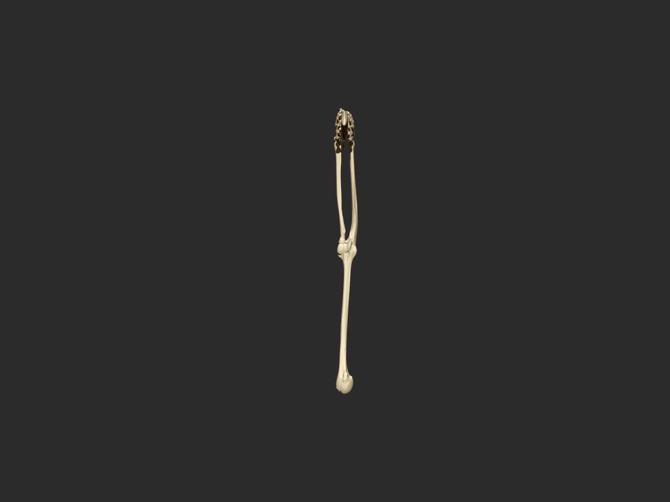 Giants Bone Scythe 3D print model_4