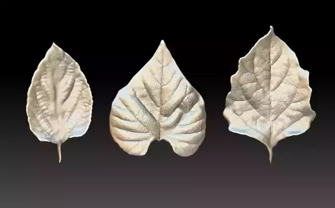 realistic ZB leaf brushes 3D printing leaf STL ZB Leaf Brush  3D print model