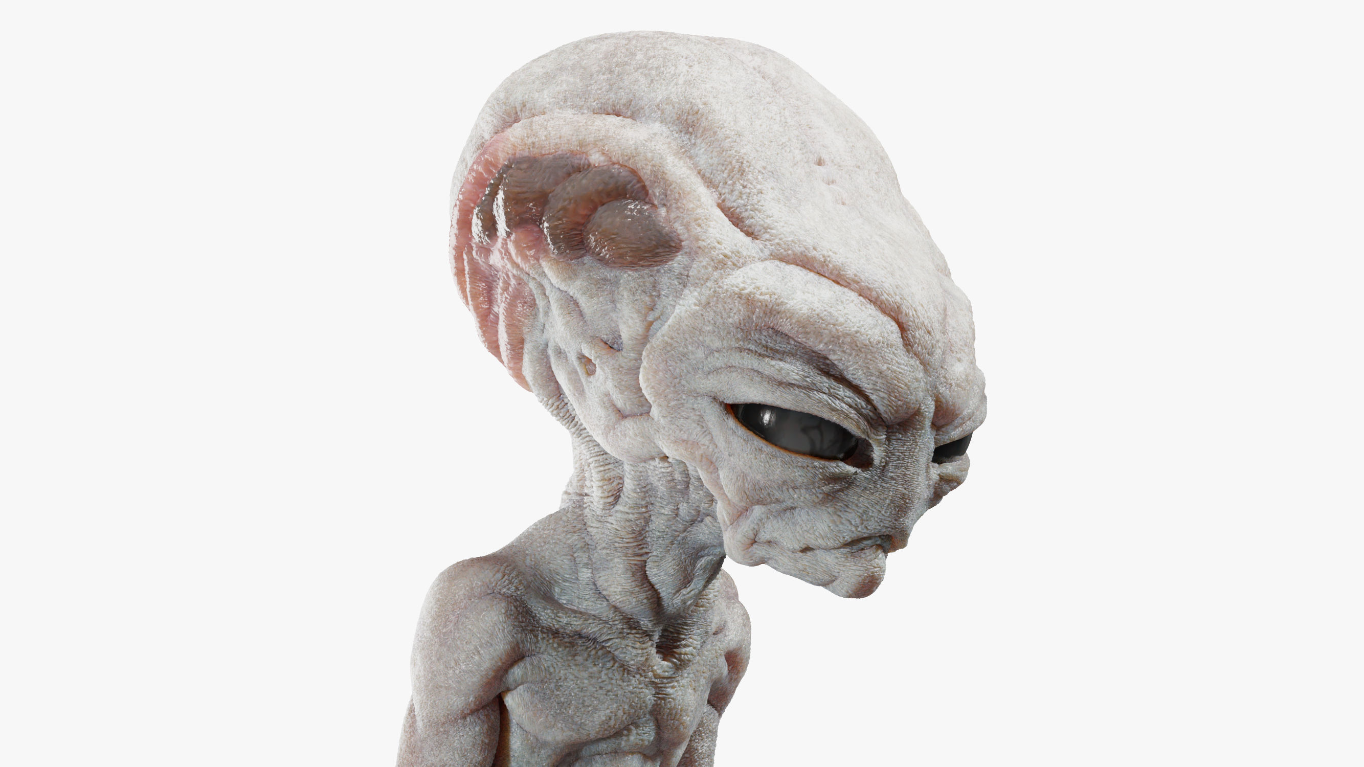 Gray Alien Blender Low-poly 3D model_6