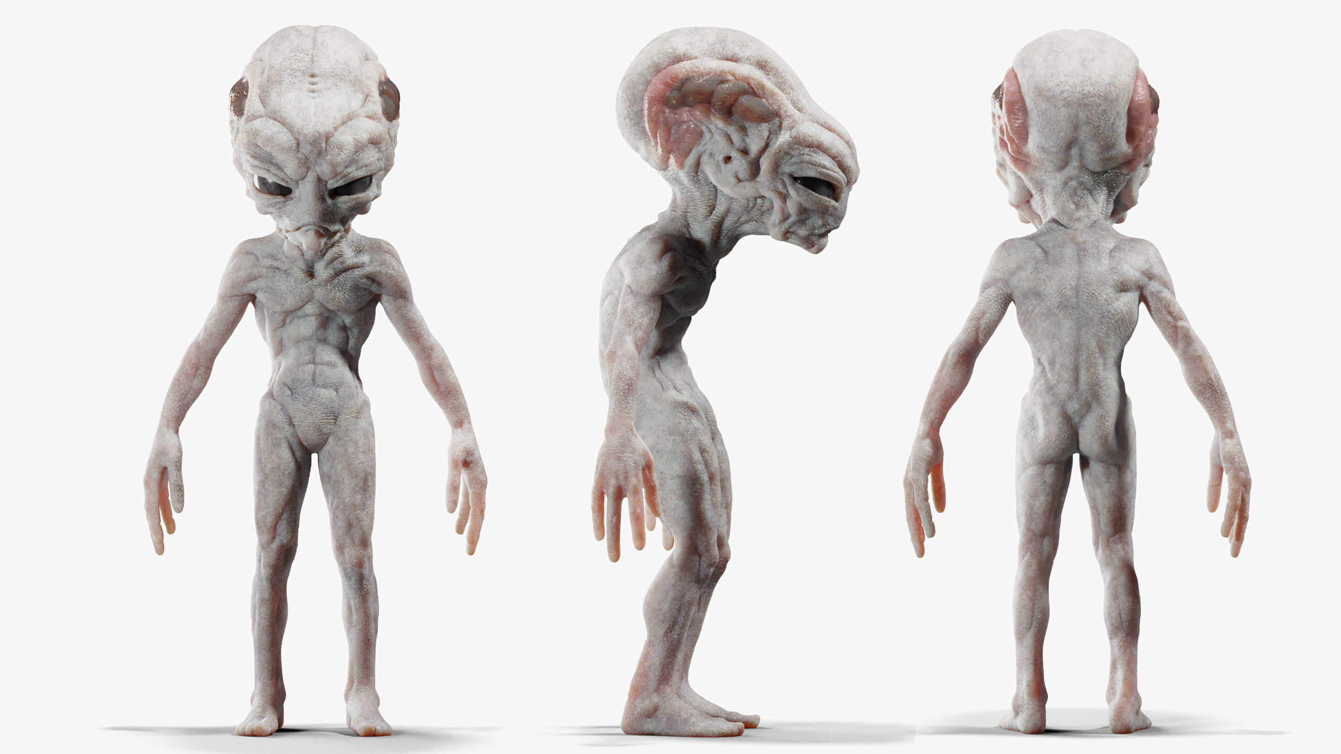 Gray Alien Blender Low-poly 3D model_7
