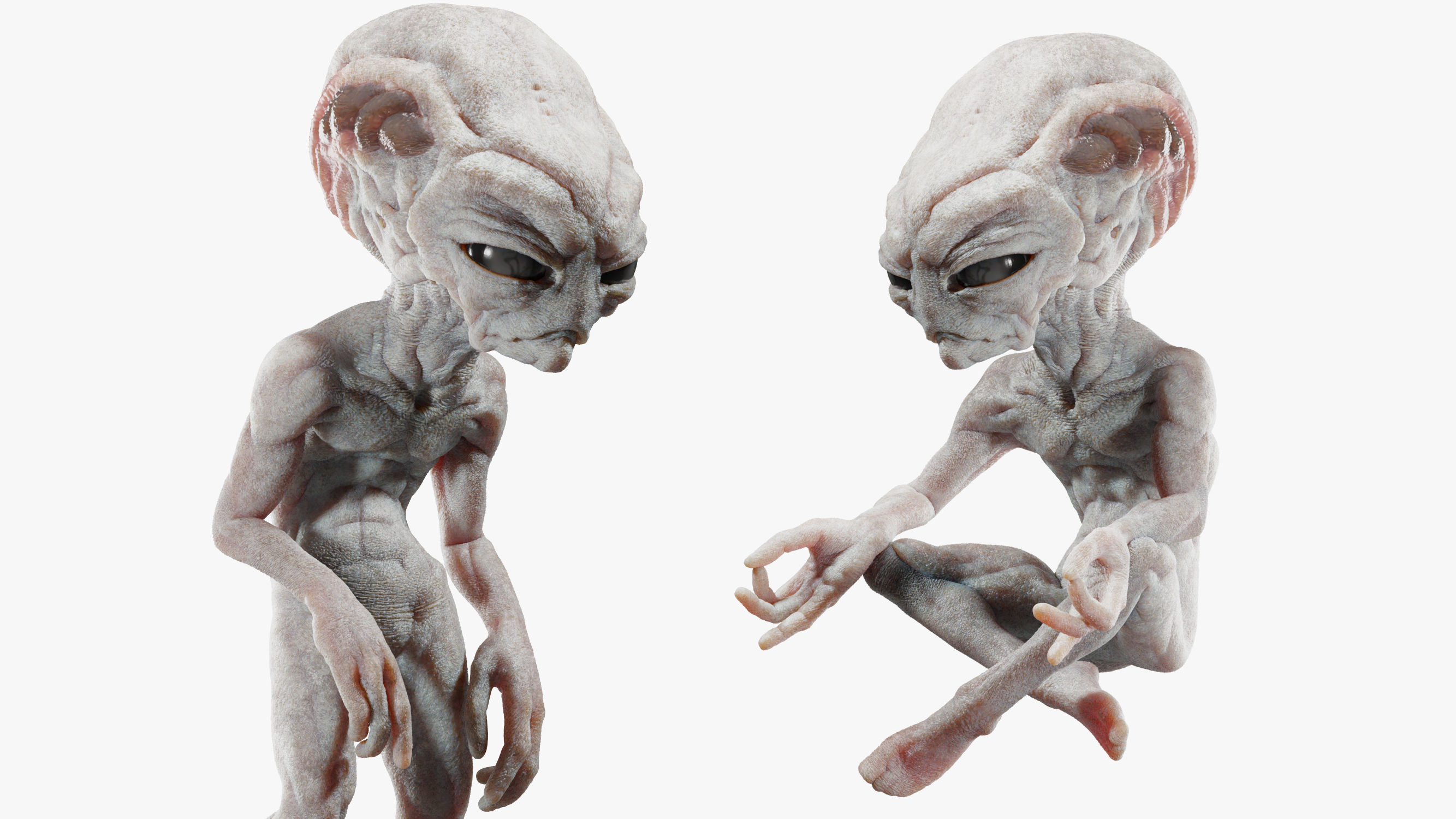 Gray Alien Blender Low-poly 3D model_3