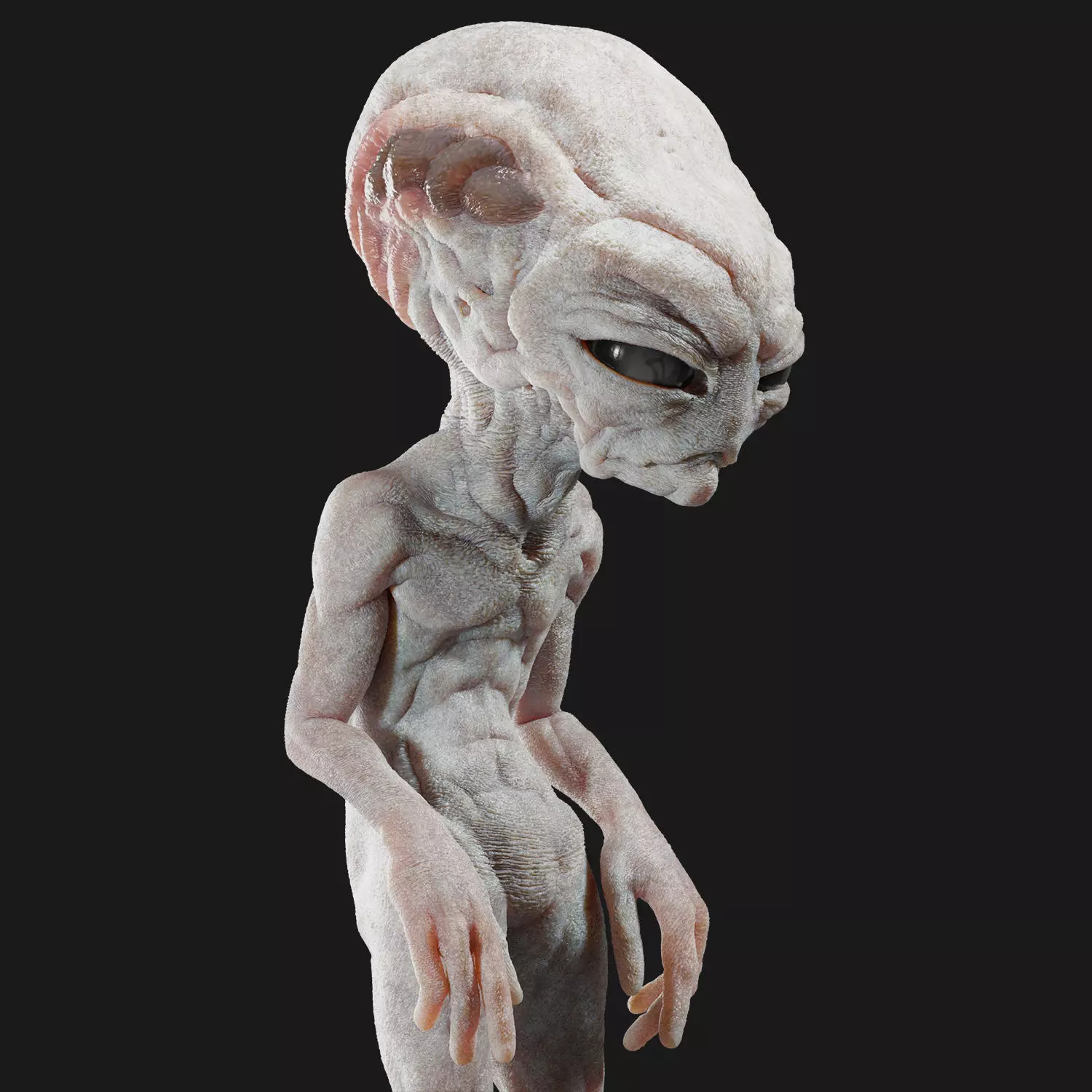 Gray Alien Blender Low-poly 3D model_0