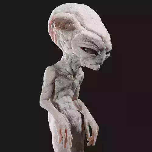Gray Alien Blender Low-poly 3D model