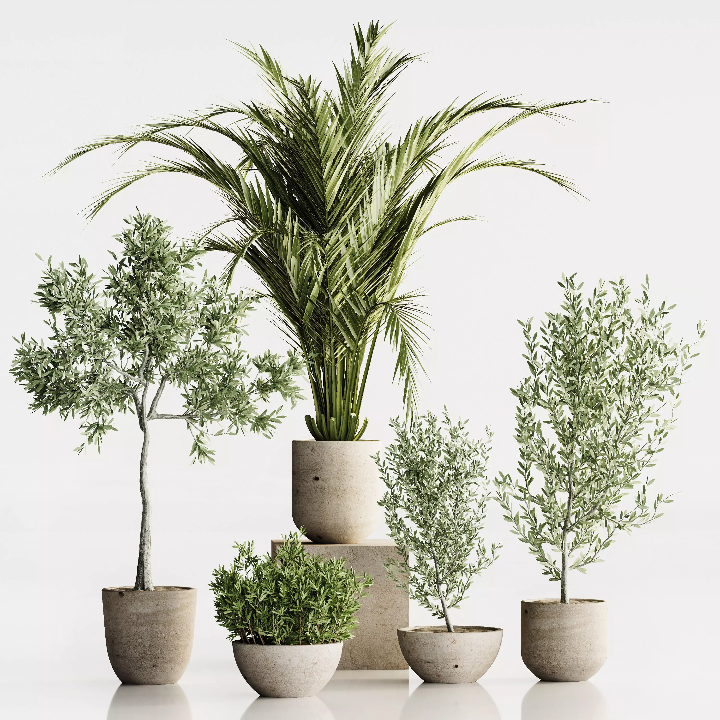 plant set 03 3D model_0