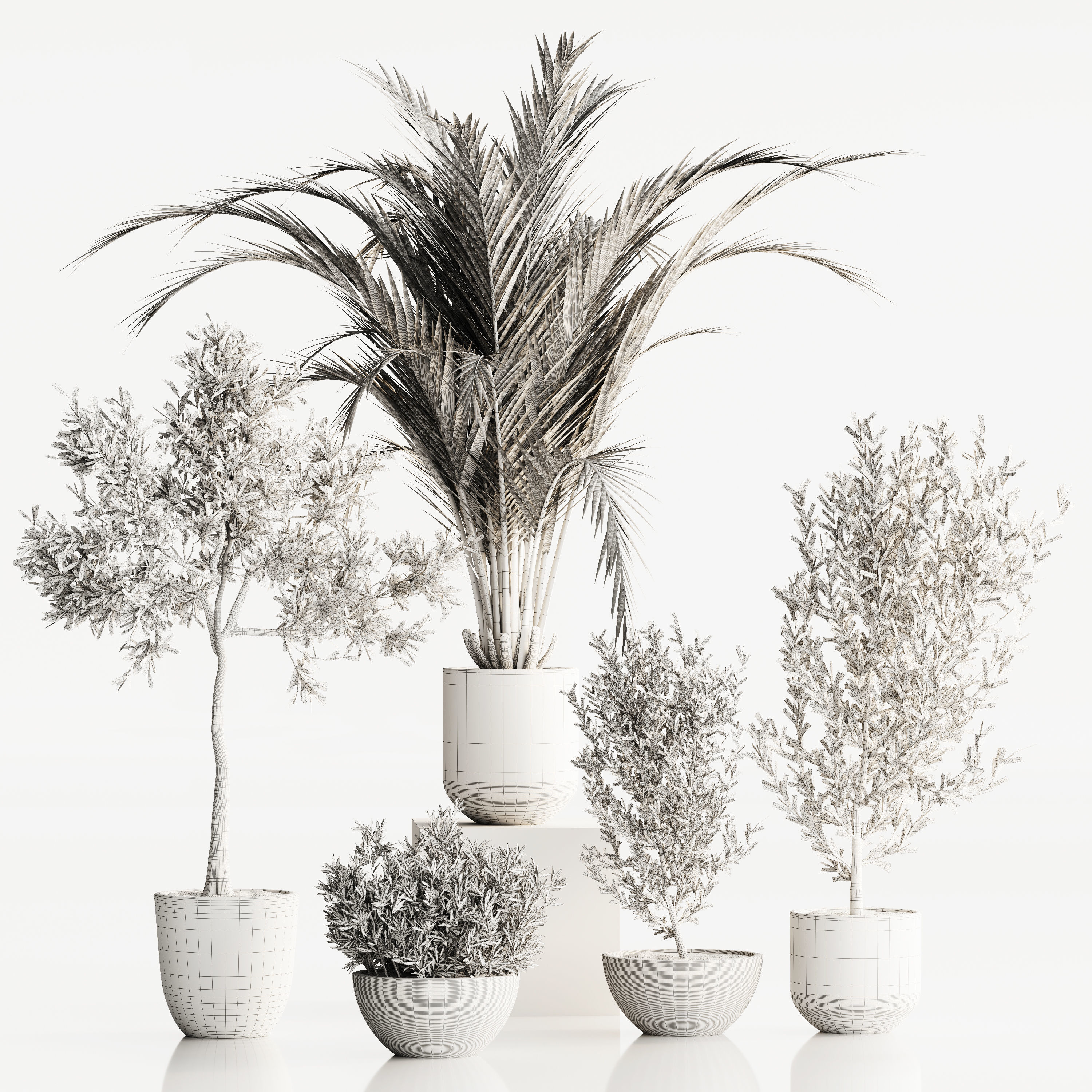 plant set 03 3D model_4