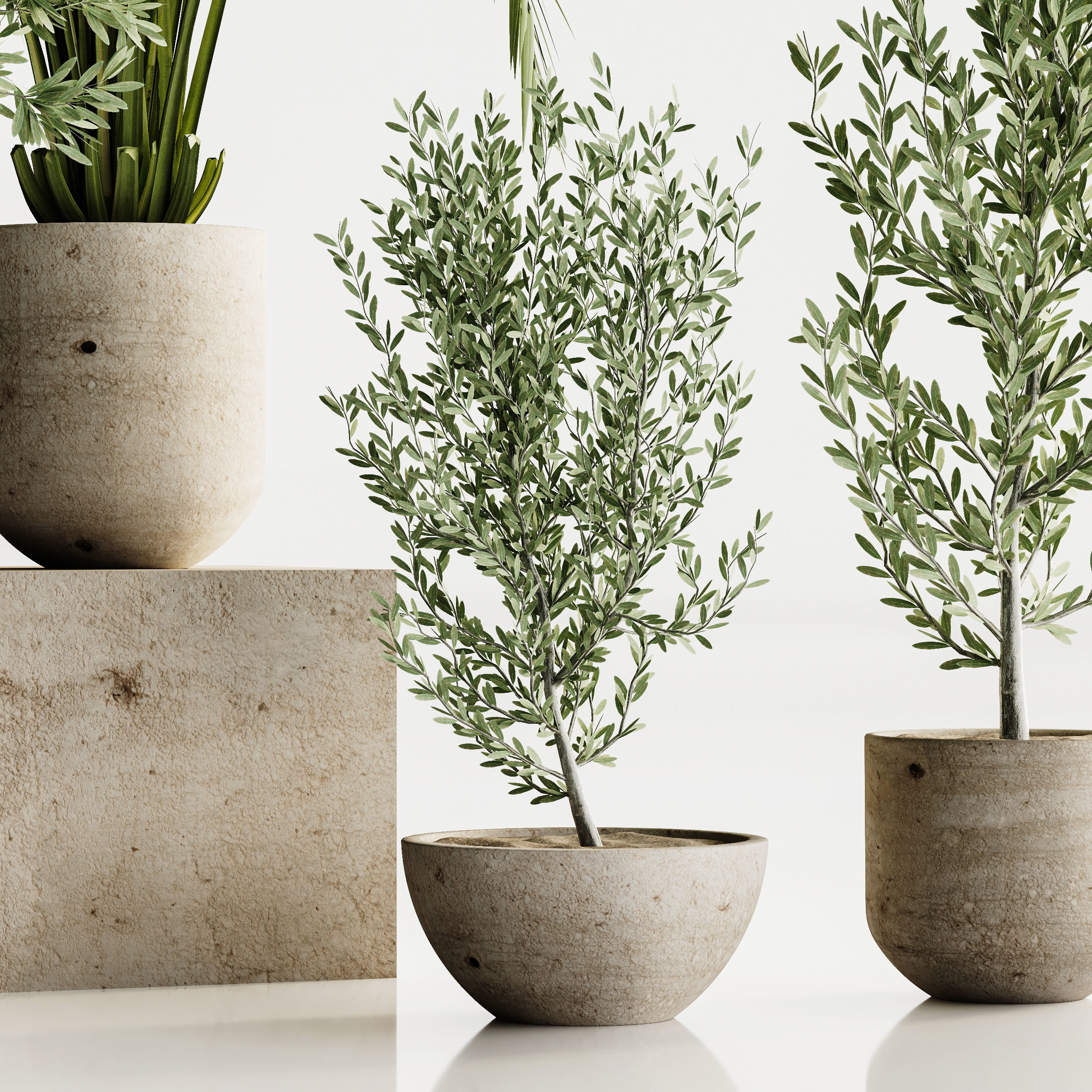 plant set 03 3D model_1
