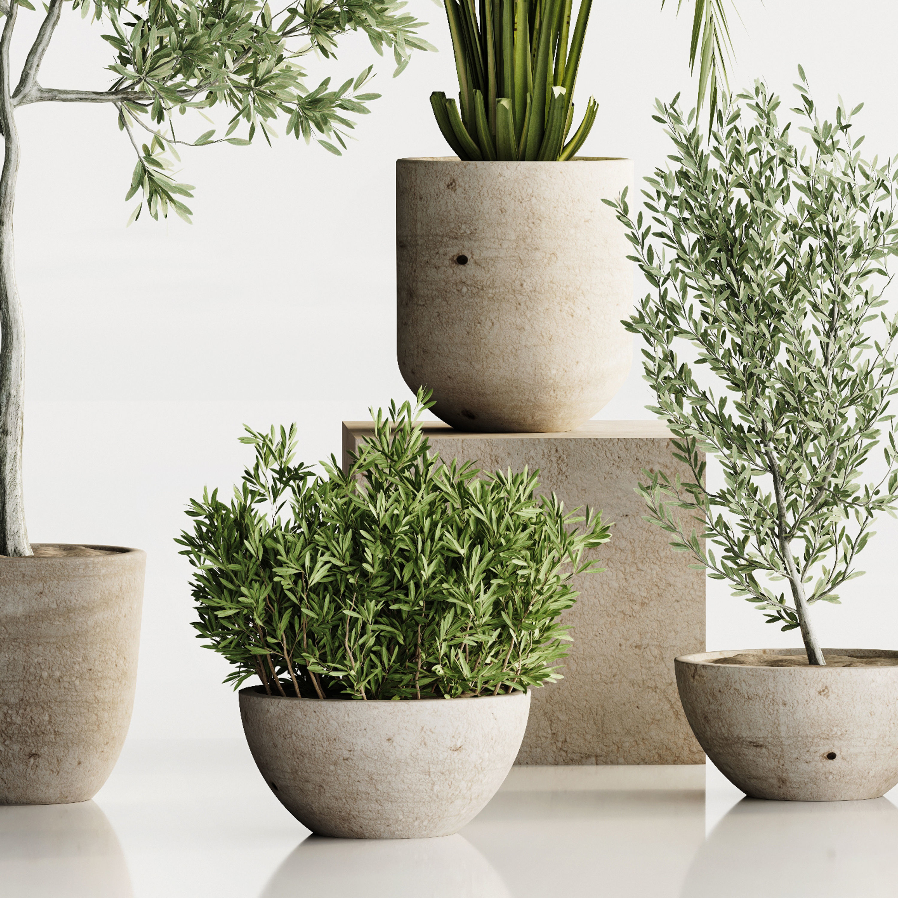 plant set 03 3D model_2