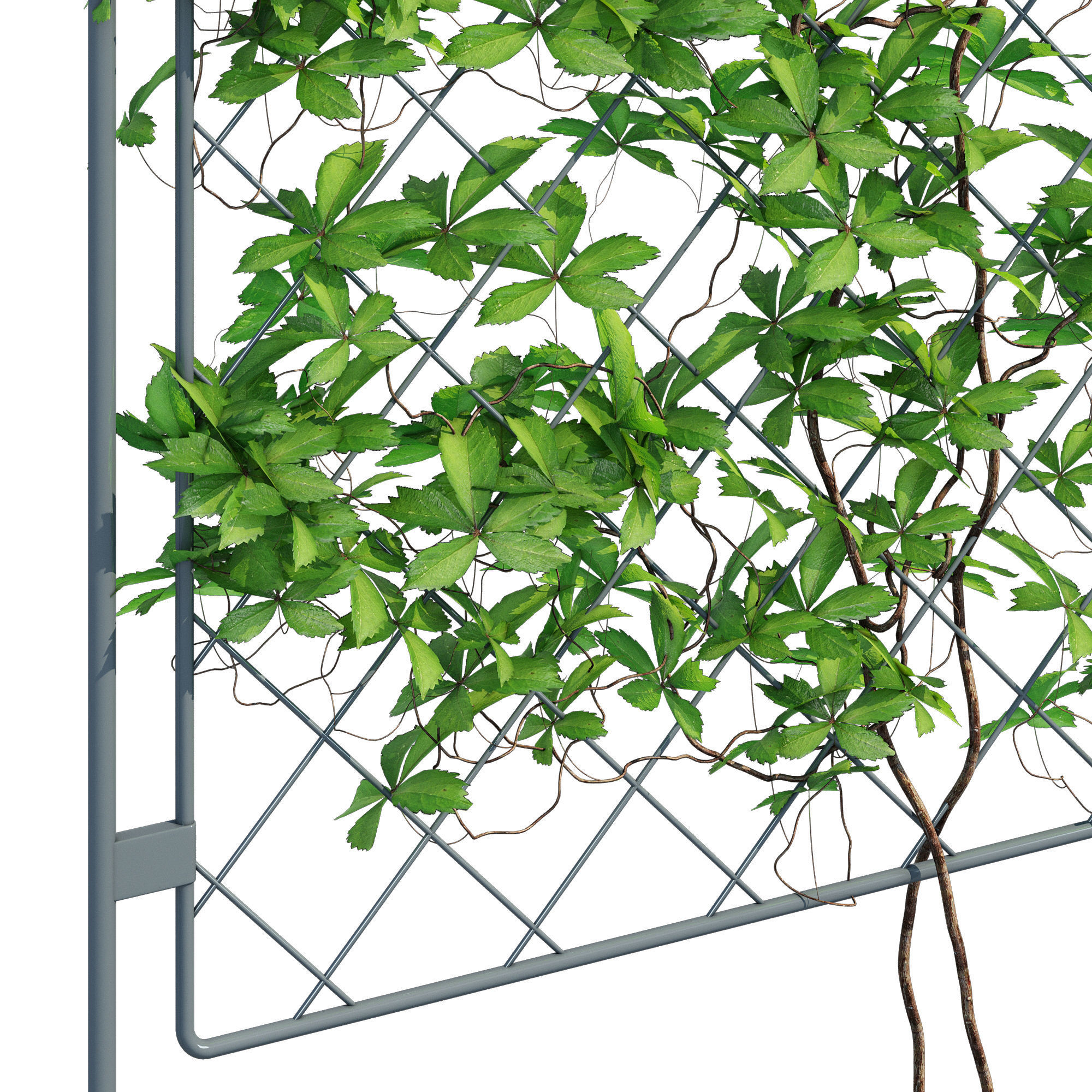 Harrod one 3D model_6