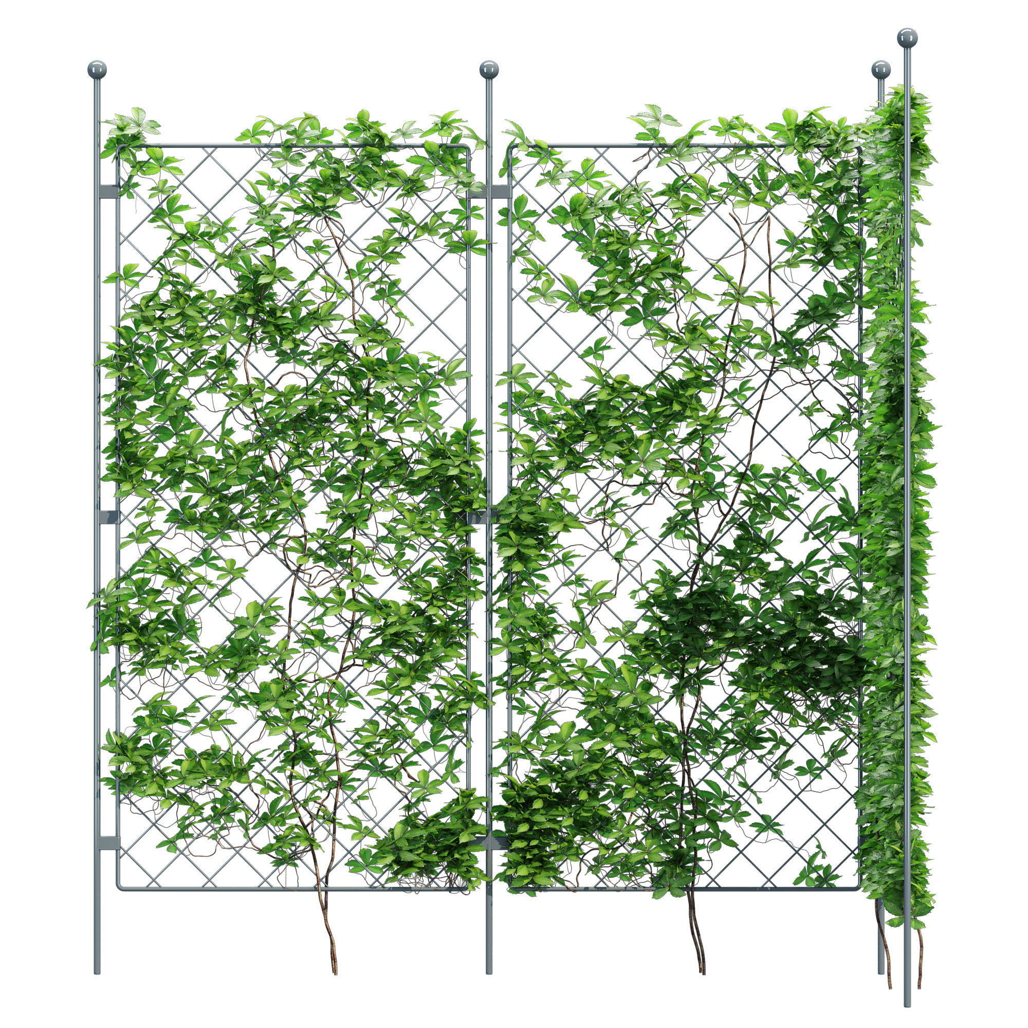 Harrod one 3D model_3